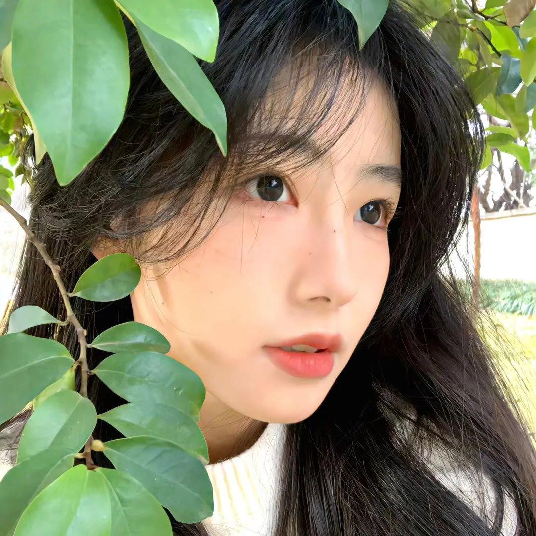 2025青春芒果夜
